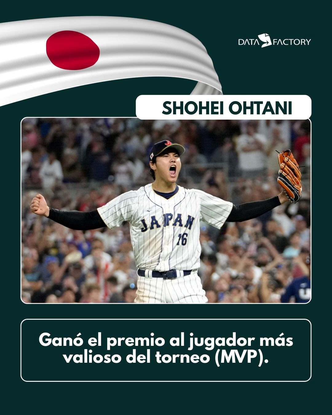Campeones (japón) 1